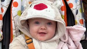 Fundraiser by Stephanie Lusty : Donate to help Nellie get the helmet she  needs