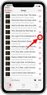 If you love music, then you know all about the little shot of excitement that ripples through you when you hear one of your favorite songs come on the radio. How To Download All Your Songs In Apple Music To Your Iphone Ios 15