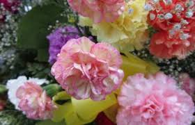 The industry term for the camellia rosa or the pink camellia seems to be the ultimate choice flower for a pair of long distance lovers. Symbolic Flowers For Grief And Sympathy Lovetoknow