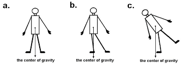 Balance Centre Of Gravity The Lower The Centre Of Gravity Higher Balance Physics Courses Physics Gravity