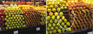 Fruits Et Legumes Olivier Dauvers