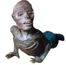 We did not find results for: Beloved Community Icon Jake The Alligator Man Celebrates 75th Birthday News Chinookobserver Com