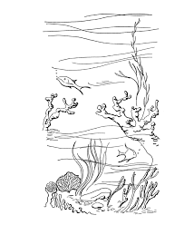 Free coloring sheets to print and download. Coral Coloring Pages Best Coloring Pages For Kids