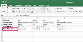 Improving your excel skills can change your career!. Workload Management Template In Excel Pm Blog