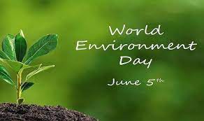 World environment day is an annual observance on 5th june. World Environment Day 2020 June 5 How Beauty Products Are Destroying Our Planet