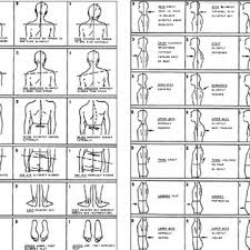 Posterior View Segments From The New York Posture Rating