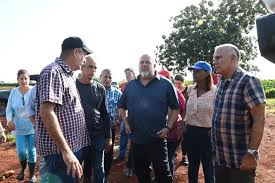 Recorre Primer Ministro áreas agrícolas de Artemisa | Presidencia y  Gobierno de la República de Cuba