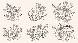 3.watercolor white rose tattoo designs for men and women. Rose Tattoo Images Free Vectors Stock Photos Psd