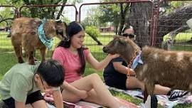 Goat Yoga McKinney The Stix!