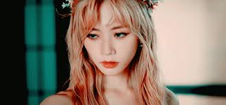 JUNGLECITY || l.mh x h.js