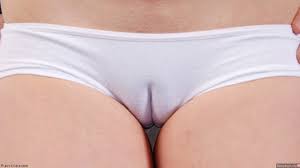Camel toe tight panties most relevant xxx. Panties Cameltoe