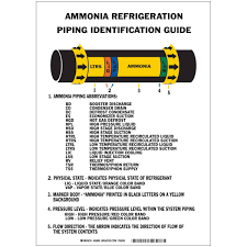 ammonia iiar piping reference chart