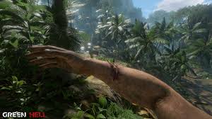 The forest v.1.12 portable (2018) скачать торрент лицензия. Green Hell V0 4 2 Free Download