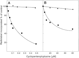 Each chain is made up of repeating subunits called nucleotides that are held. A Single Point Mutation In Ctp Synthetase Of Chlamydia Trachomatis Confers Resistance To Cyclopentenyl Cytosine Journal Of Biological Chemistry