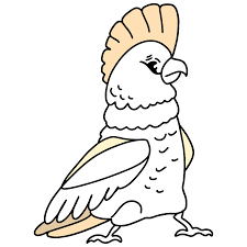 Set off fireworks to wish amer. Cockatoo Coloring Page Online Or Printable For Free