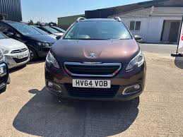 Image result for Brown Squirrel 2014 Peugeot