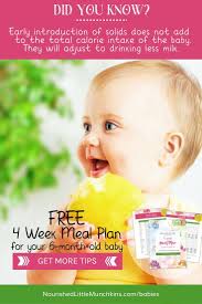 Baby S First Meal Plan 4 Week Meal Plan For Your 6 Month Old Baby 6 Month Olds 6 Month Old Baby Baby Solid Food