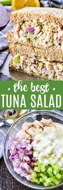 Tuna Salad Recipe Best Tuna Salad Seafood Appetizers Good Healthy Recipes
