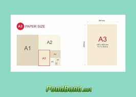 Perbandingan size kasut us (us size), saiz kasut eu (euro size), saiz kasut uk (uk size), dan kasut malaysia boleh dilihat dalam satuan panjang inci (inches) dan centimeter (cm). Ukuran Kertas A3 Dalam Cm Mm Inci Jenis Dan Kegunaan