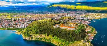 Image result for Vepris macedoi