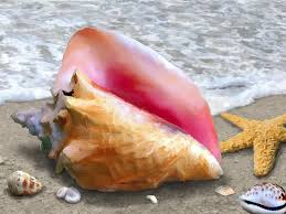 January 7, 201618th century still life painting westernno comments. Conch Shell Beach Painting By Stephen Jorgensen