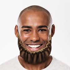 Beard Cover