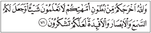 Their different views by themselves were a proof that they had no knowledge in this regard; Surat An Nahl Ayat 78 Tentang Nikmat Allah Kepada Manusia Isi Kandungan Dan Terjemahannya