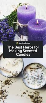 Many will agree that this isolation is harmful to the most of zoo inhabitants, it can even amount to cruelty. The 10 Best Herbs For Making Scented Candles