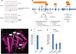 Whether you or someone you love has cancer, knowing what to expect can help you cope. Frequent Mutation Of Bap1 In Metastasizing Uveal Melanomas Science