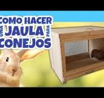 Como hacer jaula para conejos