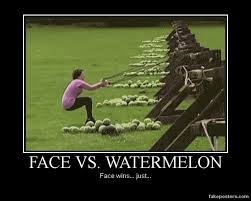 I Love This Clip Http Www Fakeposters Com Posters Face Vs Watermeon Funny Pictures Humor Best Funny Pictures