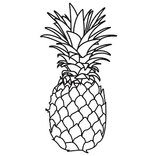 How to draw a pineapple step 3. Pineapple Line Art Png Novocom Top