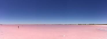 Most lakes are totally safe to swim in, but they are also off limits as the locals are. Lake Bumbunga Lochiel S Pink Lake Kids In Adelaide