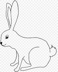 Check spelling or type a new query. Domestic Rabbit Easter Bunny Coloring Book Ausmalbild Drawing Png 1661x2059px Domestic Rabbit Animal Figure Area Artwork