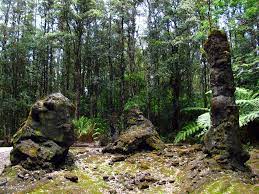 We did not find results for: Lava Tree State Monument Hawaii State Parks