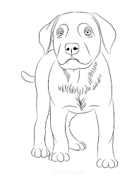 Maybe you would like to learn more about one of these? 95 Dog Coloring Pages For Kids Adults Free Printables