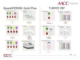 Igras have now been incorporated into national testing guidelines for screening and prevention of tuberculosis in a number of different countries including the usa.11,12 it is generally advised that they can be used in the same situations where the tst is used. Interferon Gamma Release Assays Igras Youtube