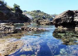 Il gabbiano palinuro al centro della perla del cilento, la struttura su sei piani, appoggiata alla parete naturale, affaccia direttamente sul mare. Spiaggia Ficocella Il Mare Al Centro Di Palinuro