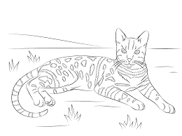 Free printable fourth of july coloring pages. Pin On Wood Burning Patterns