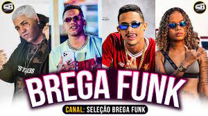 Assim como não existe só sertanejo e funk no brasil, existem diversos outros tipos de música por lá, como o trot, o folk, o rock e o hip hop. Brega Funk 2020 Selecao As Melhores Cd Novo Passinho Youtube