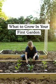 First Garden What To Grow And When To Start Gardening For Beginners Garden Raised Vegetable Gardens