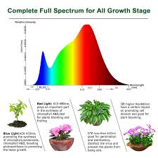 Compact fluorescent cfls, while efficient, are best used for the vegetative growth phase of a plant. Led Grow Light For Indoor Plants Ygrow Upgraded 75w Growing Lamp Light Bulbs With Exclusive Full Spectrum For Greenhouse Hydroponic Plants From Seeding To Harvest Patio Lawn Garden Evertribehq Gardening