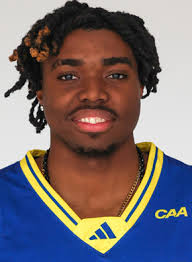 DELAWARE BLUE HENS