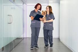 Book with a sitter who will love your pet like you do. Pets Services In Dubai Best Vet In Abu Dhabi Pet Clinic