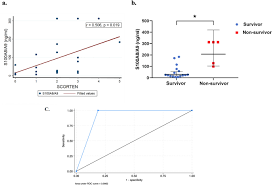 Image result for SCORTEN Score