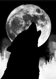 Black wolf sign on white background vector. Wolf Moon Black And White Poster By Amanda Sylvester Displate