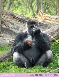 Pin On Funniest On Pinterest