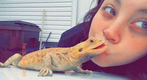 Ohio Reptile Distributor Exotics & Recovery