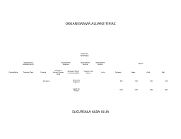 Rezumatul afacerilor derulate prin seap de sc allianz tiriac asigurari sa (cui: Organigrama Allianz Tiriac