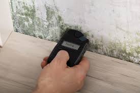 Certain mold detectors, like the detection devices, will be able to tell if there are other harmful agents in your home. Home Mold Sampling And Air Quality Testing Drake S Inspection Services